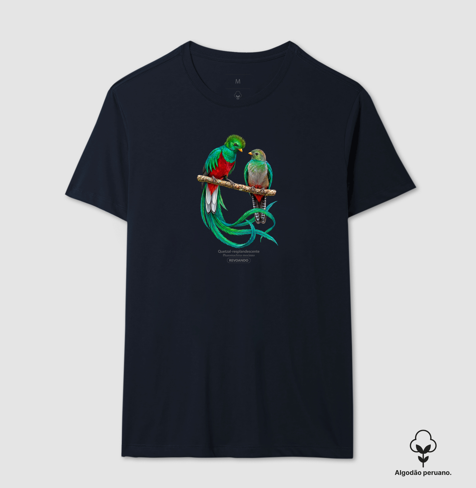 Traços Alados - Quetzal-resplandescente - Algodão Peruano - Imagem 8