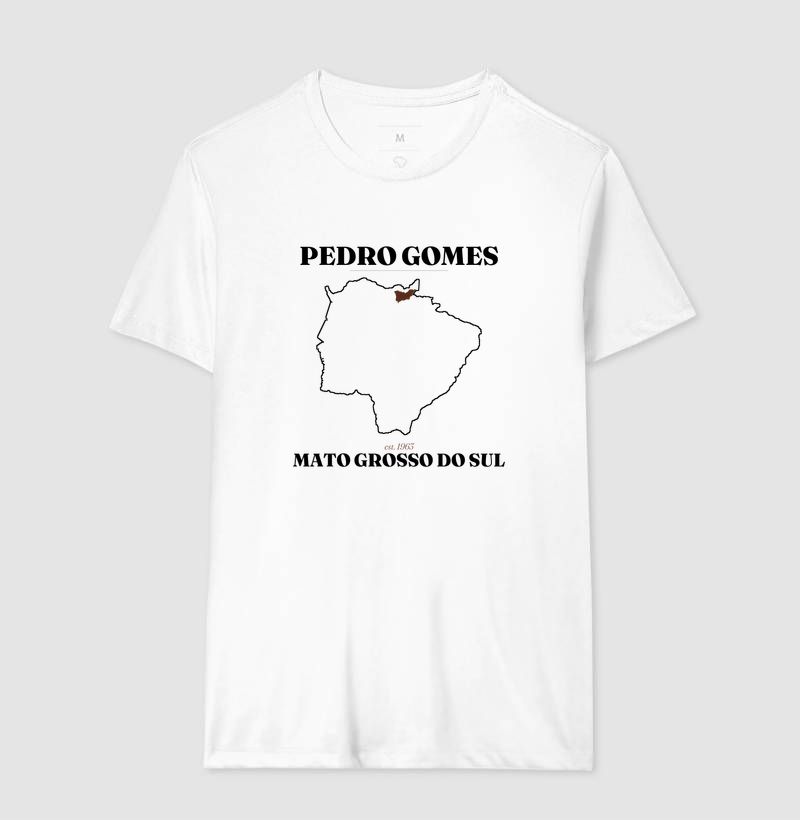 Pedro Gomes | Legado MS - Imagem 4