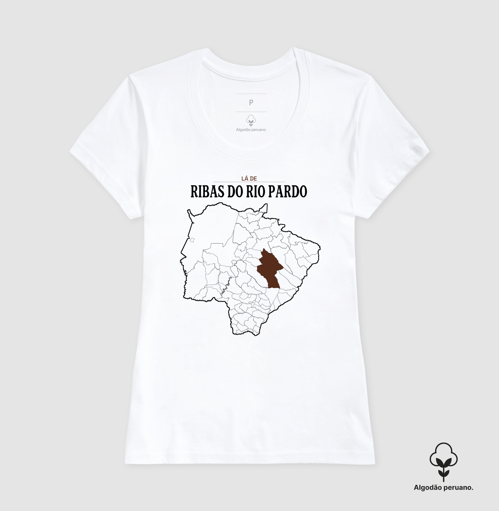 Ribas do Rio Pardo | Território MS - Imagem 6
