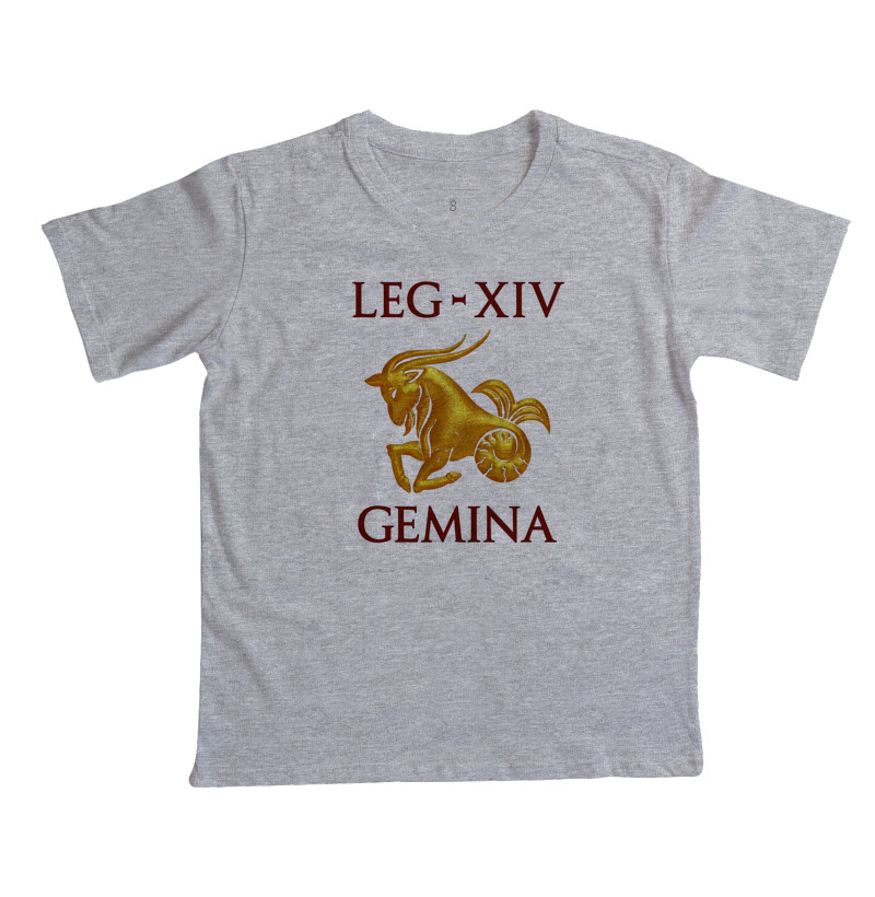 LEGIO — XIV Gemina - Imagem 7