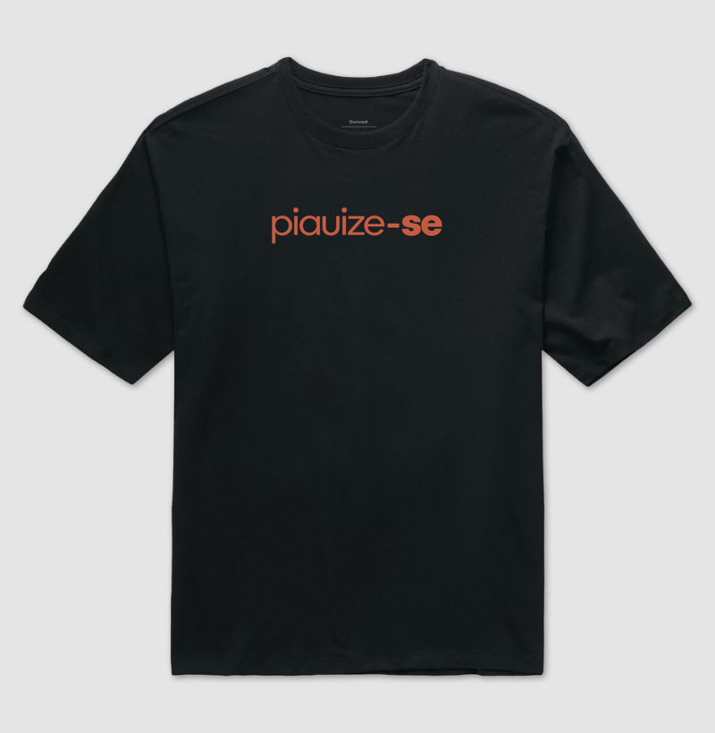 Piauize-se - Imagem 2