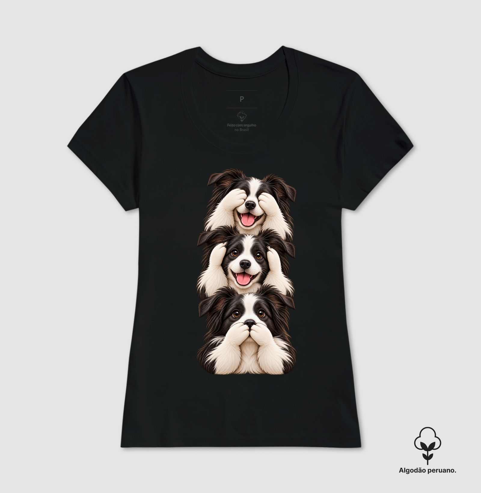 Ver, ouvir e falar Border Collie - Imagem 5