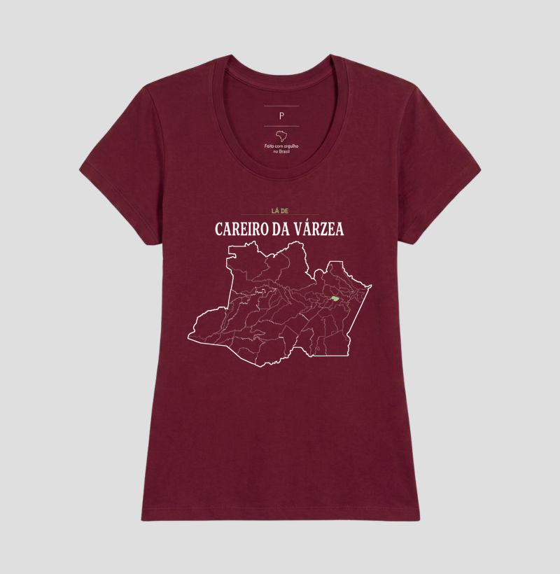 Careiro da Várzea | Território AM - Imagem 19