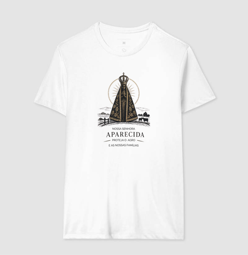 Nossa Senhora Aparecida - Imagem 2