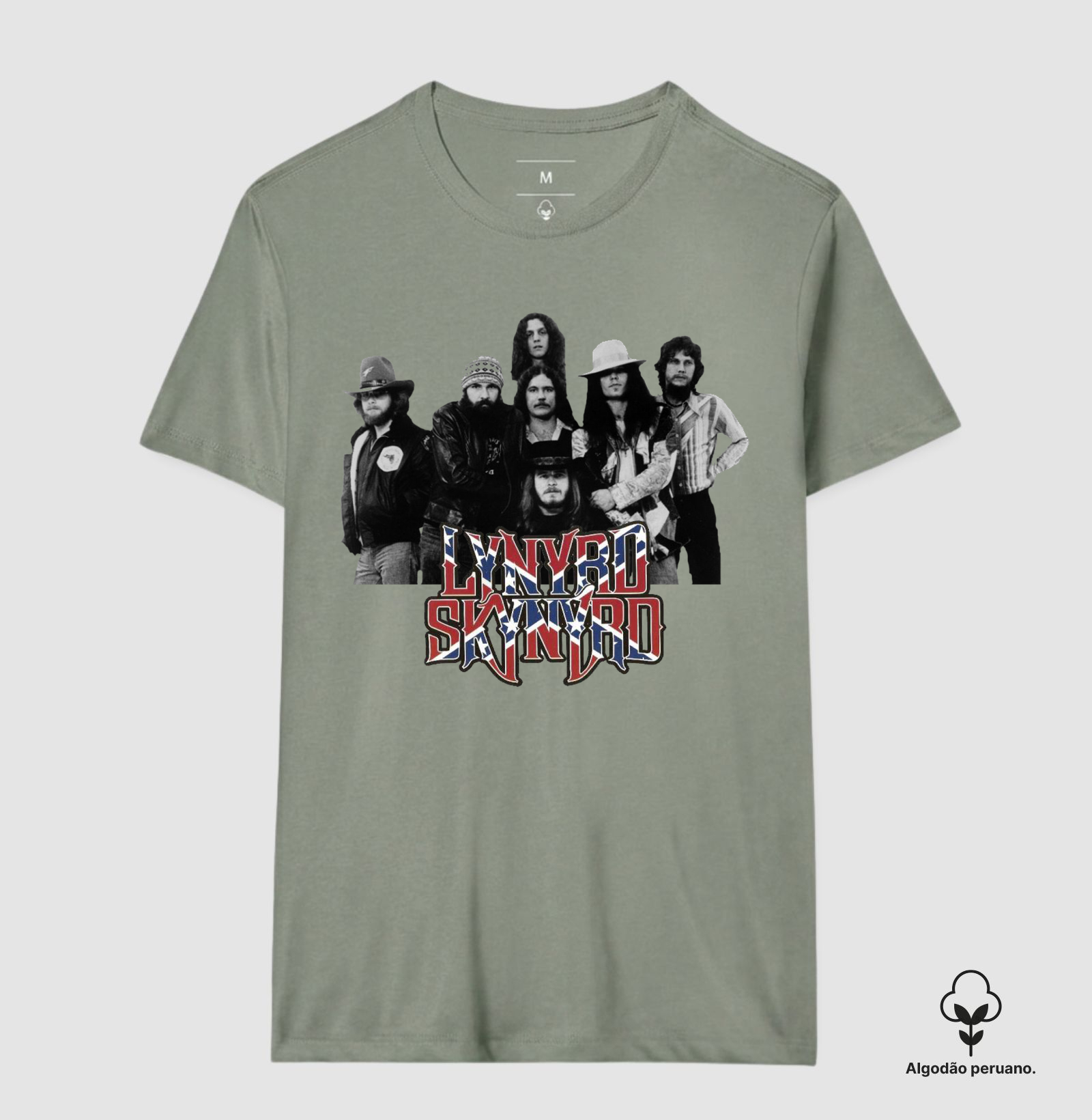 Lynyrd Skynyrd - Integrantes - Imagem 7