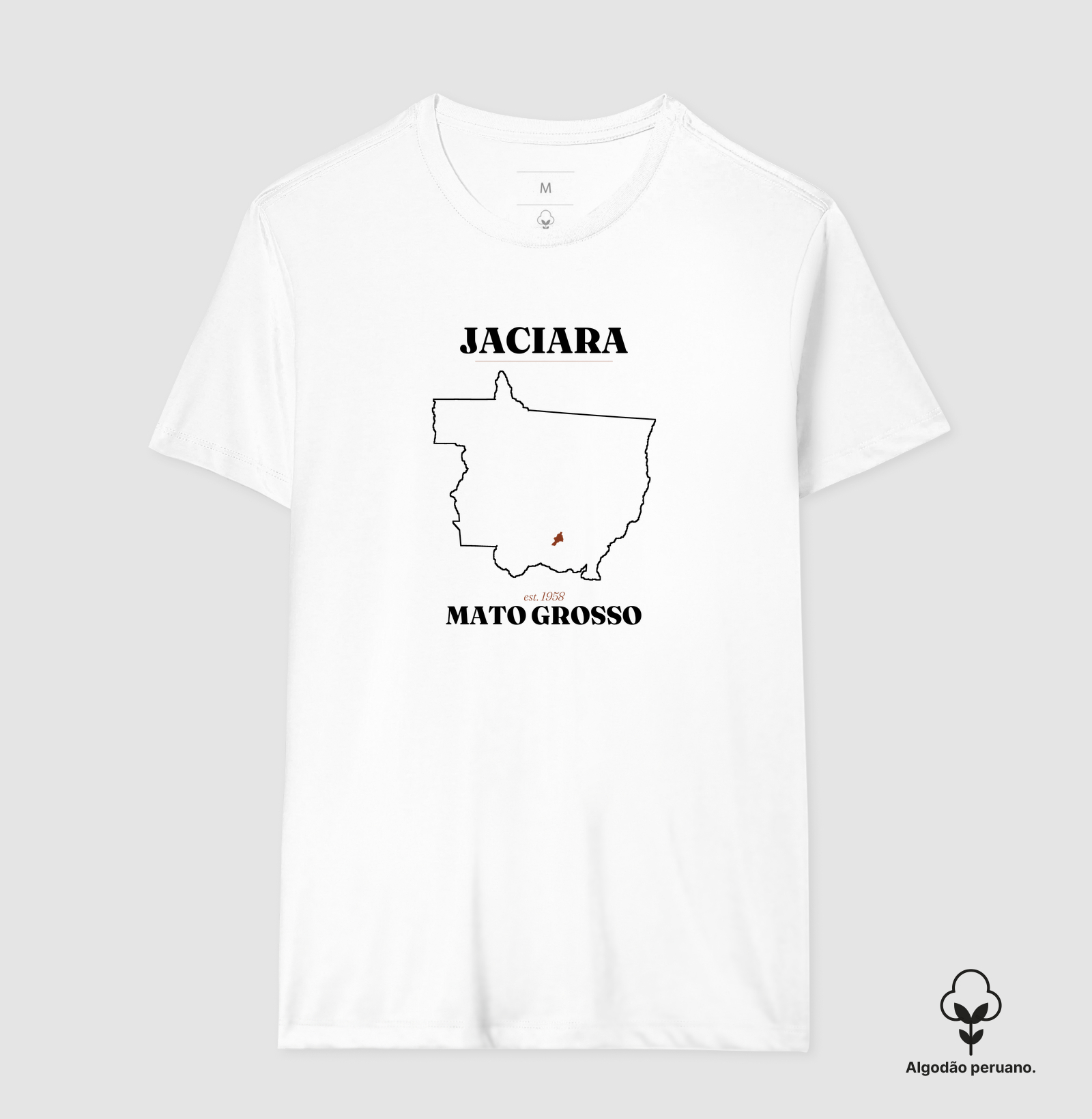 Jaciara | Legado MT - Imagem 7
