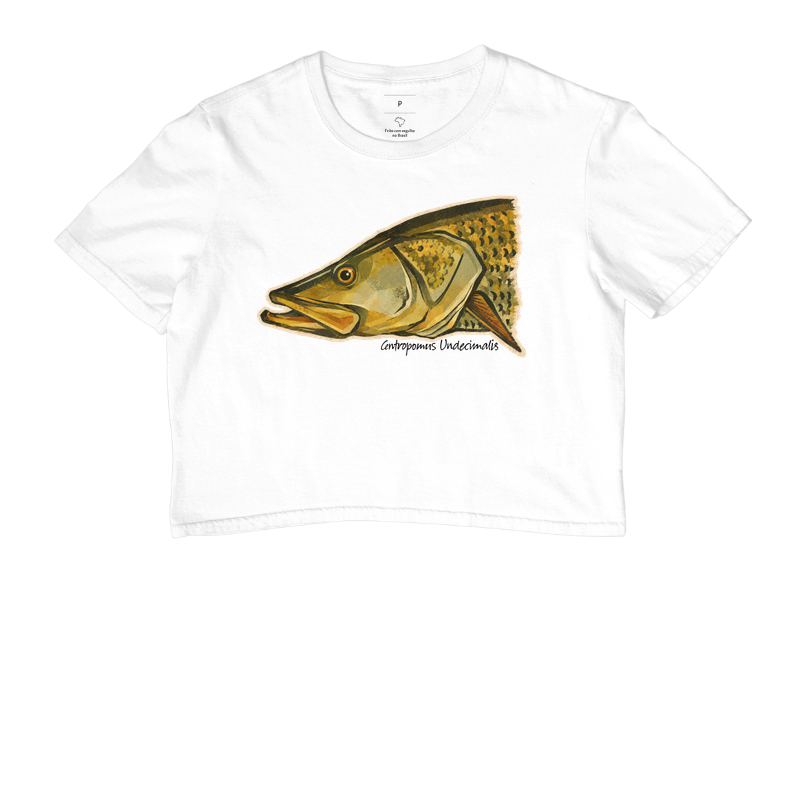 Robalo-Flecha - Imagem 3