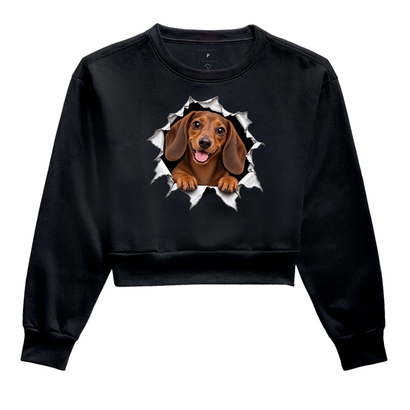 Dachshund Saindo Pelo Rasgo - Imagem 2