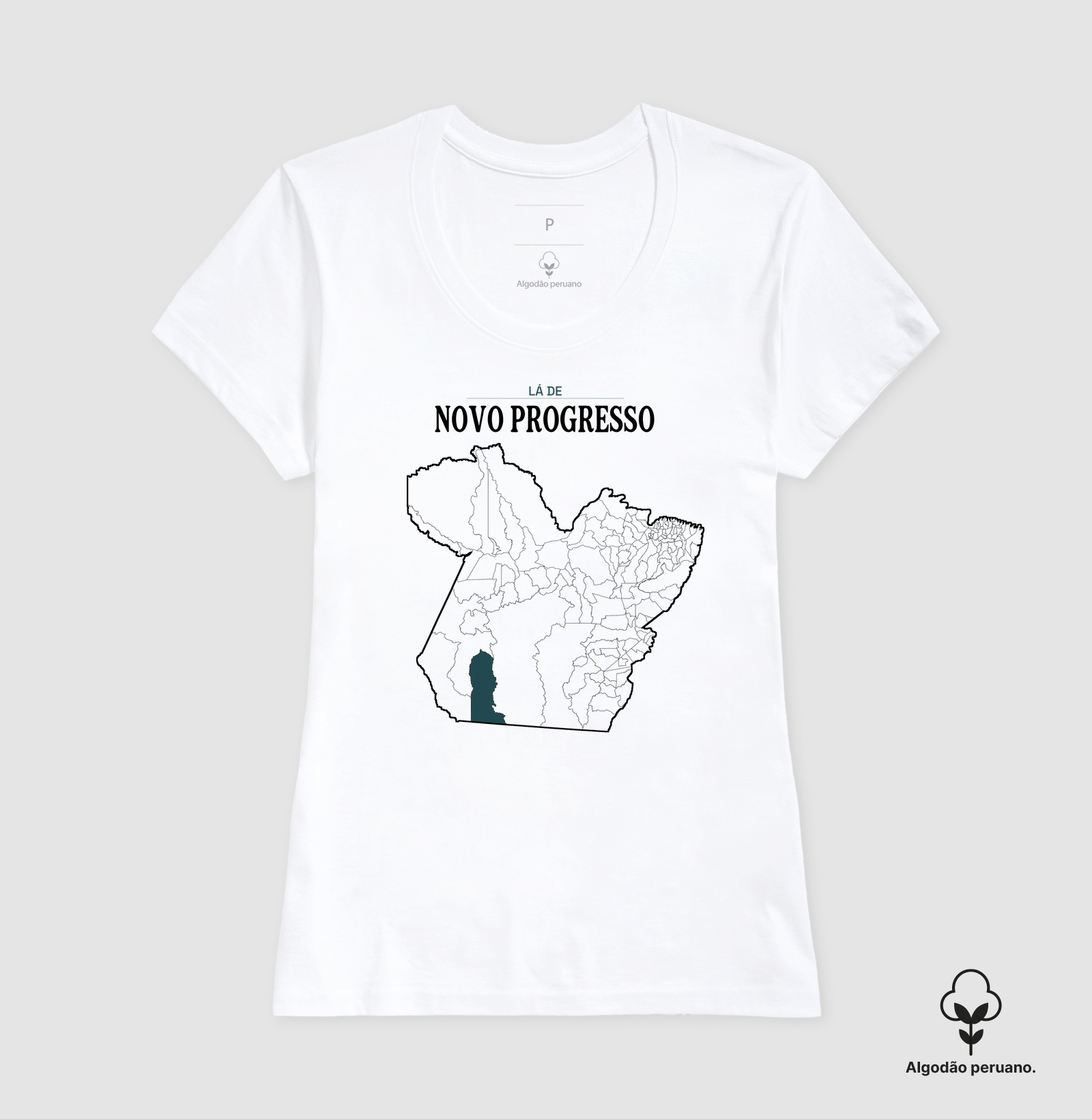 Novo Progresso | Território PA - Imagem 2