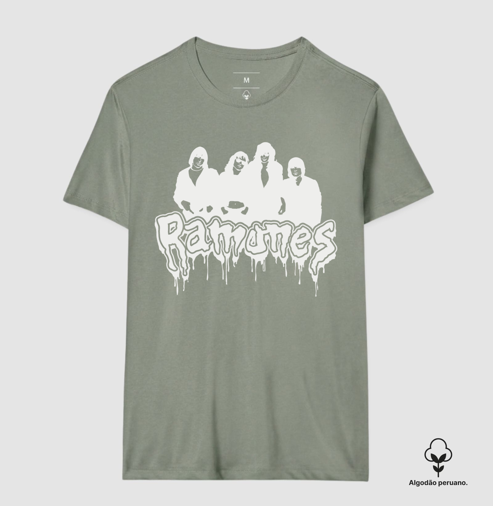Ramones - Integrantes - Imagem 9