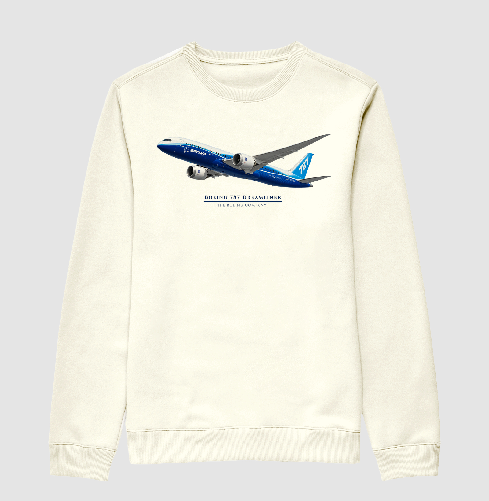 Boeing 787 Dreamliner - Imagem 2