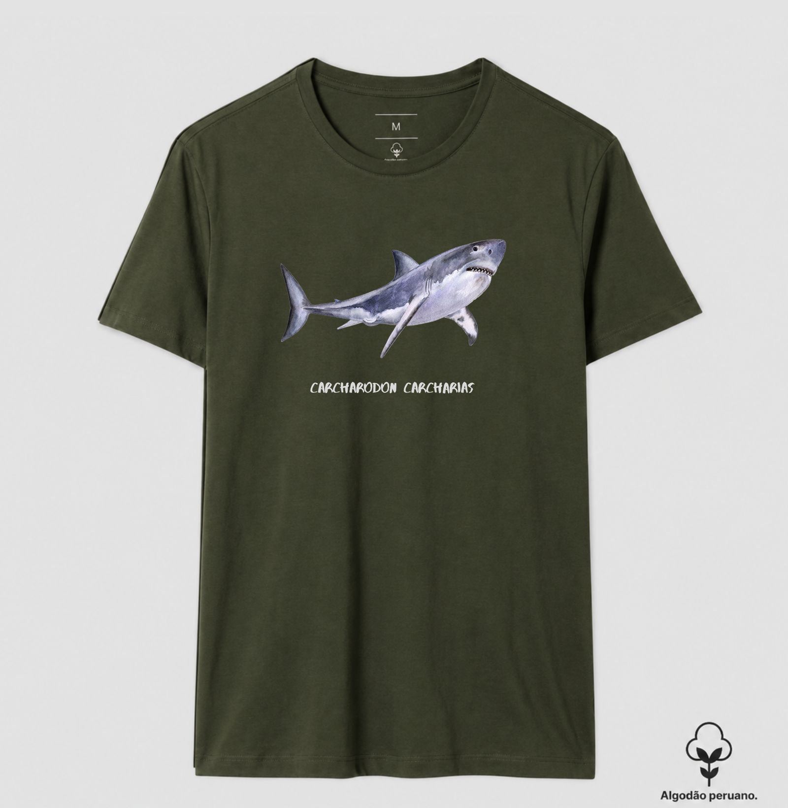 Carcharodon carcharias - Imagem 11