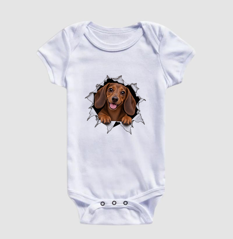 Dachshund Saindo Pelo Rasgo - Imagem 3