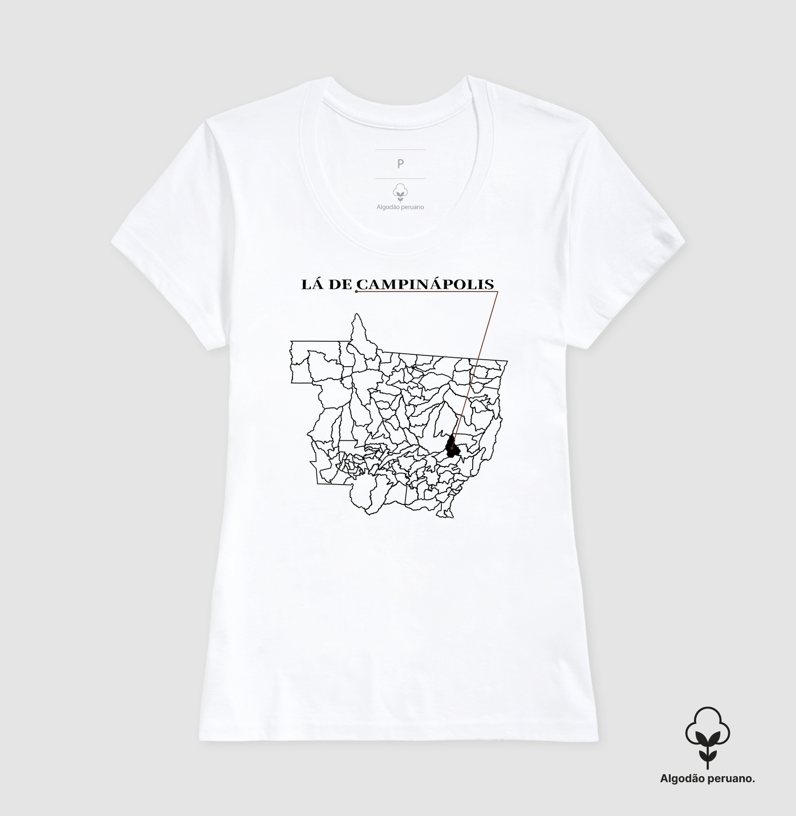 Campinápolis | Origem MT - Imagem 7