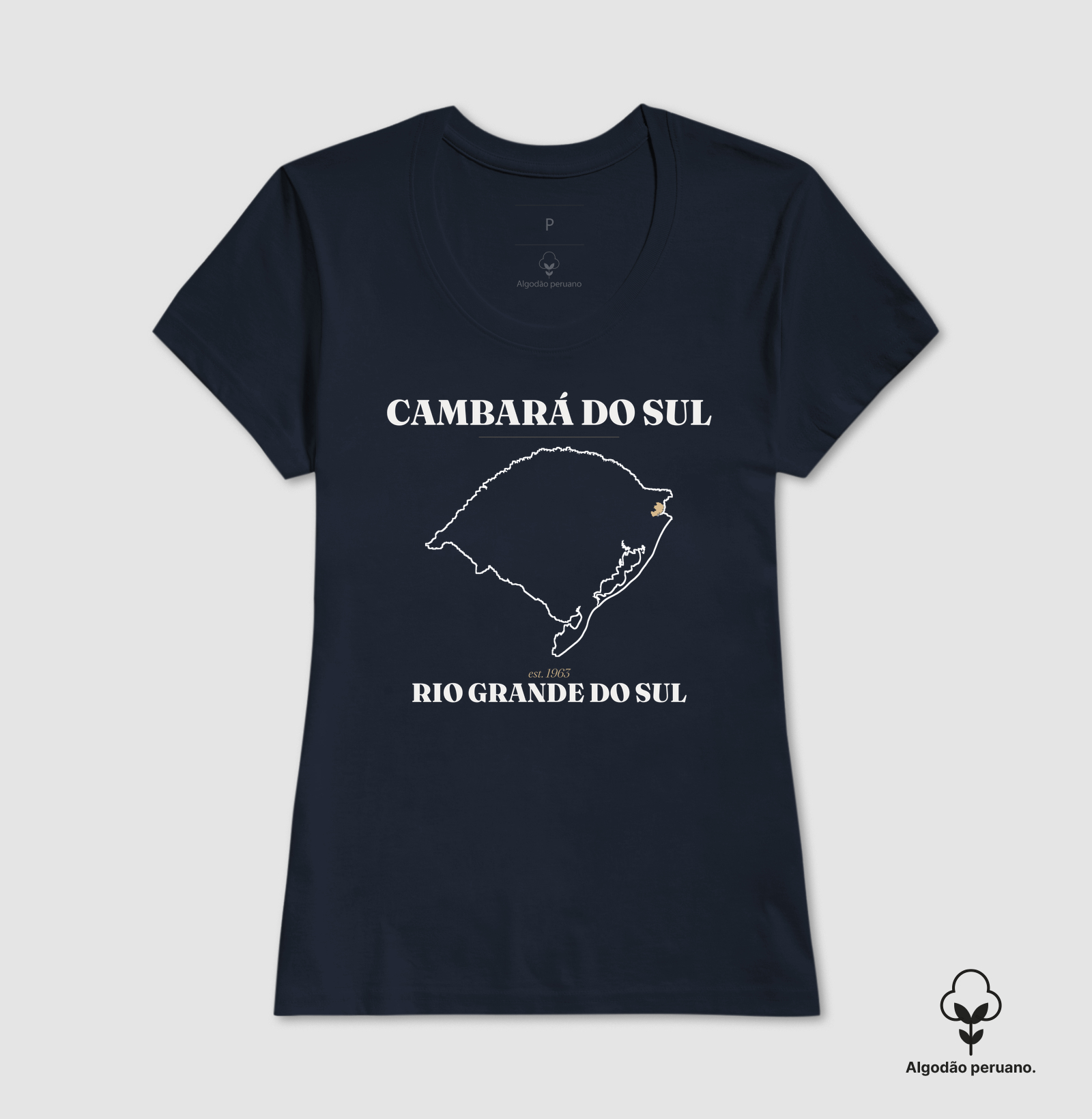 Cambará do Sul | Legado RS - Imagem 7