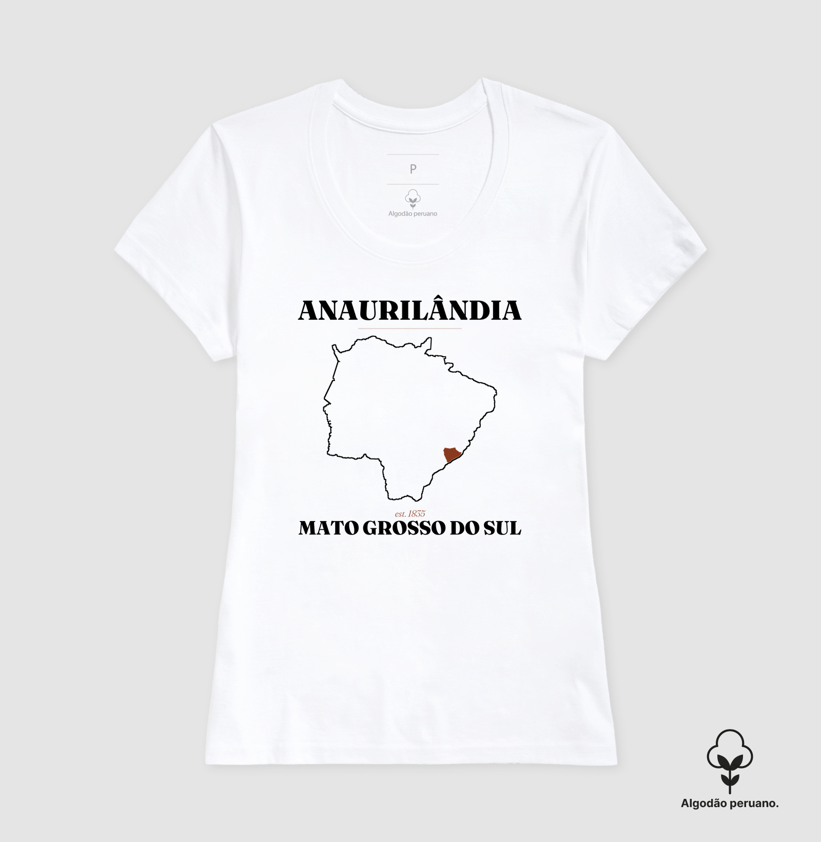Anaurilândia | Legado MS - Imagem 4