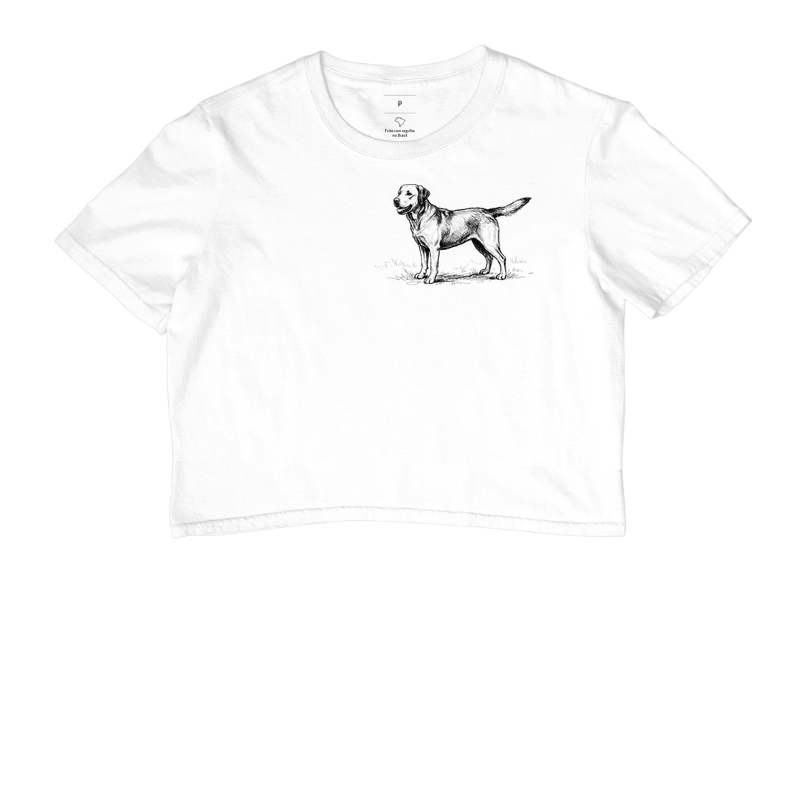 Labrador - Desenho - Imagem 2
