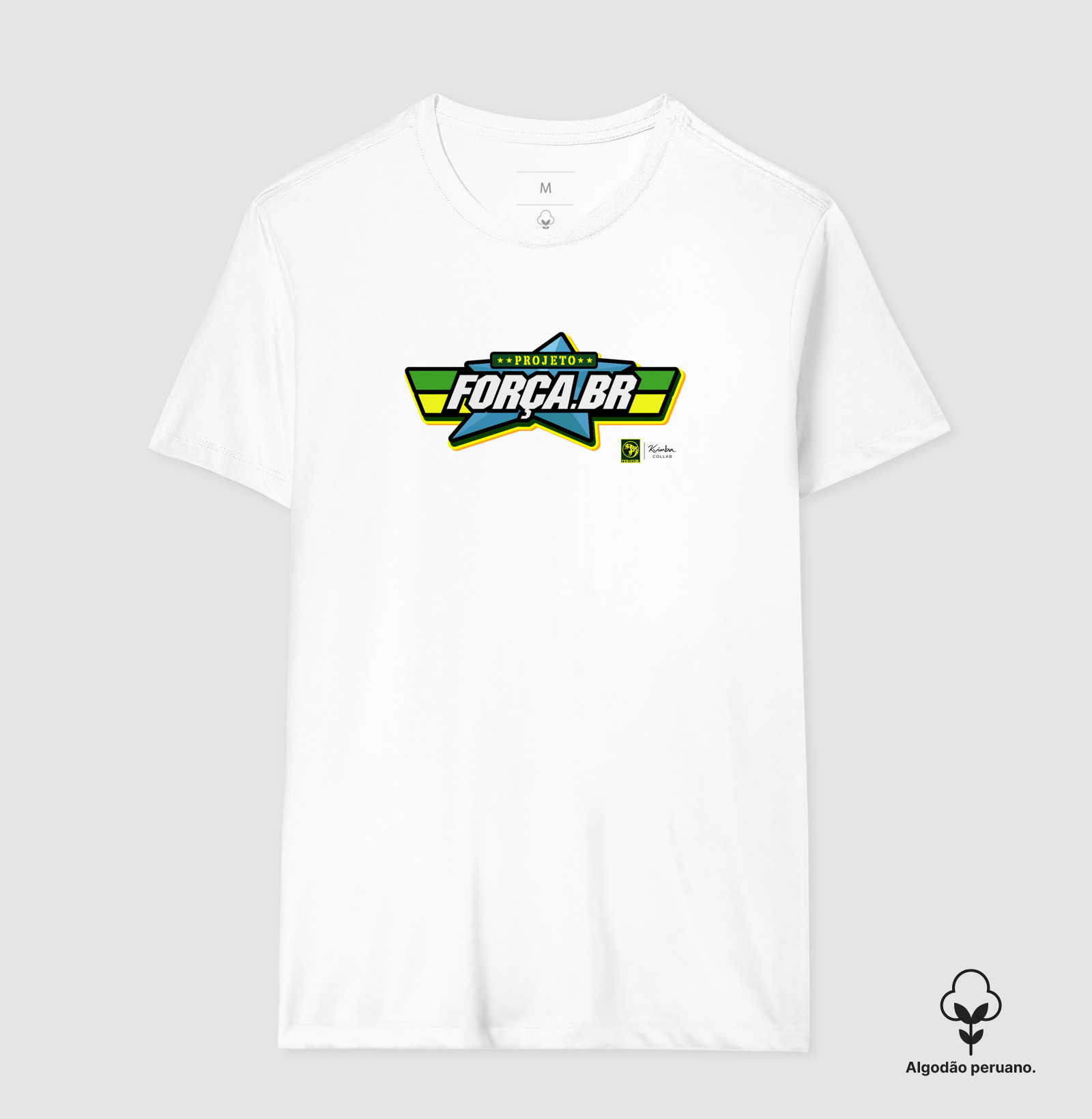 Projeto Força BR - Imagem 7