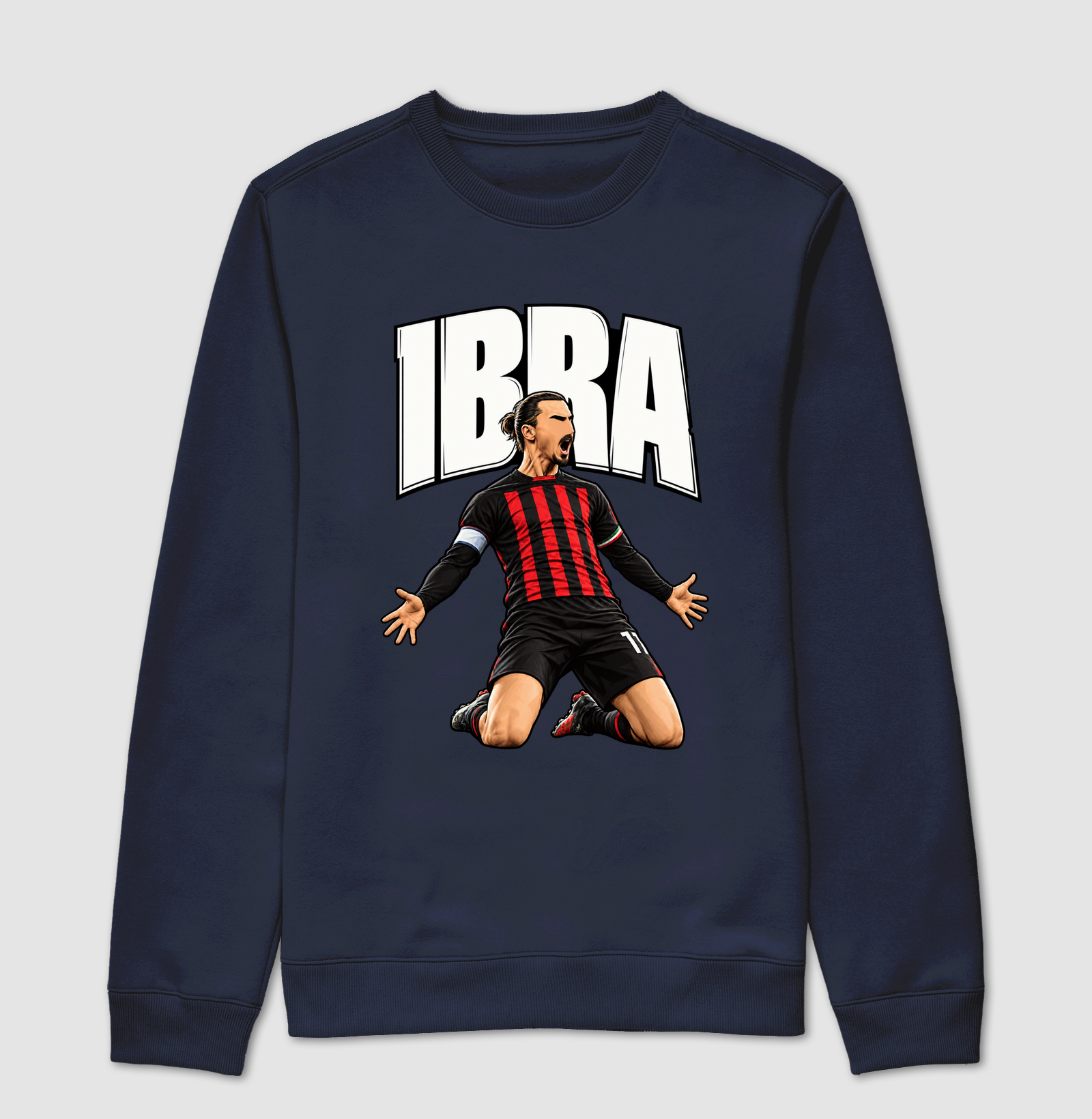 IBRA - Imagem 5