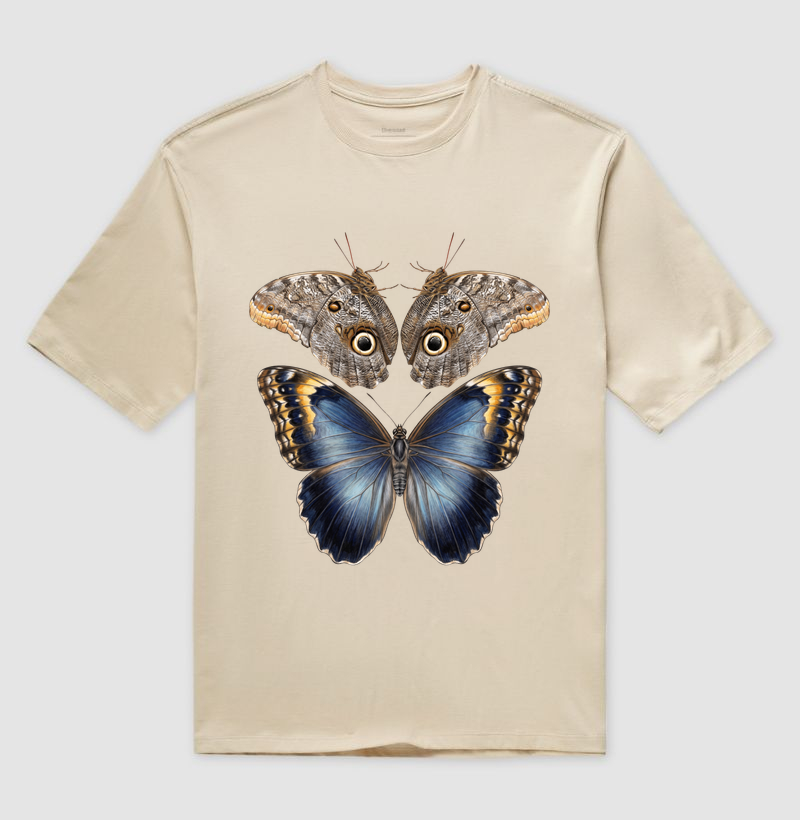 Caligo eurilochus brasiliensis - Imagem 3