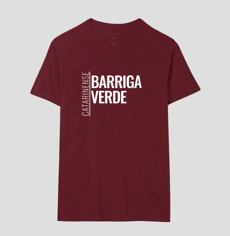 Catarinense — Barriga-Verde - Imagem 18