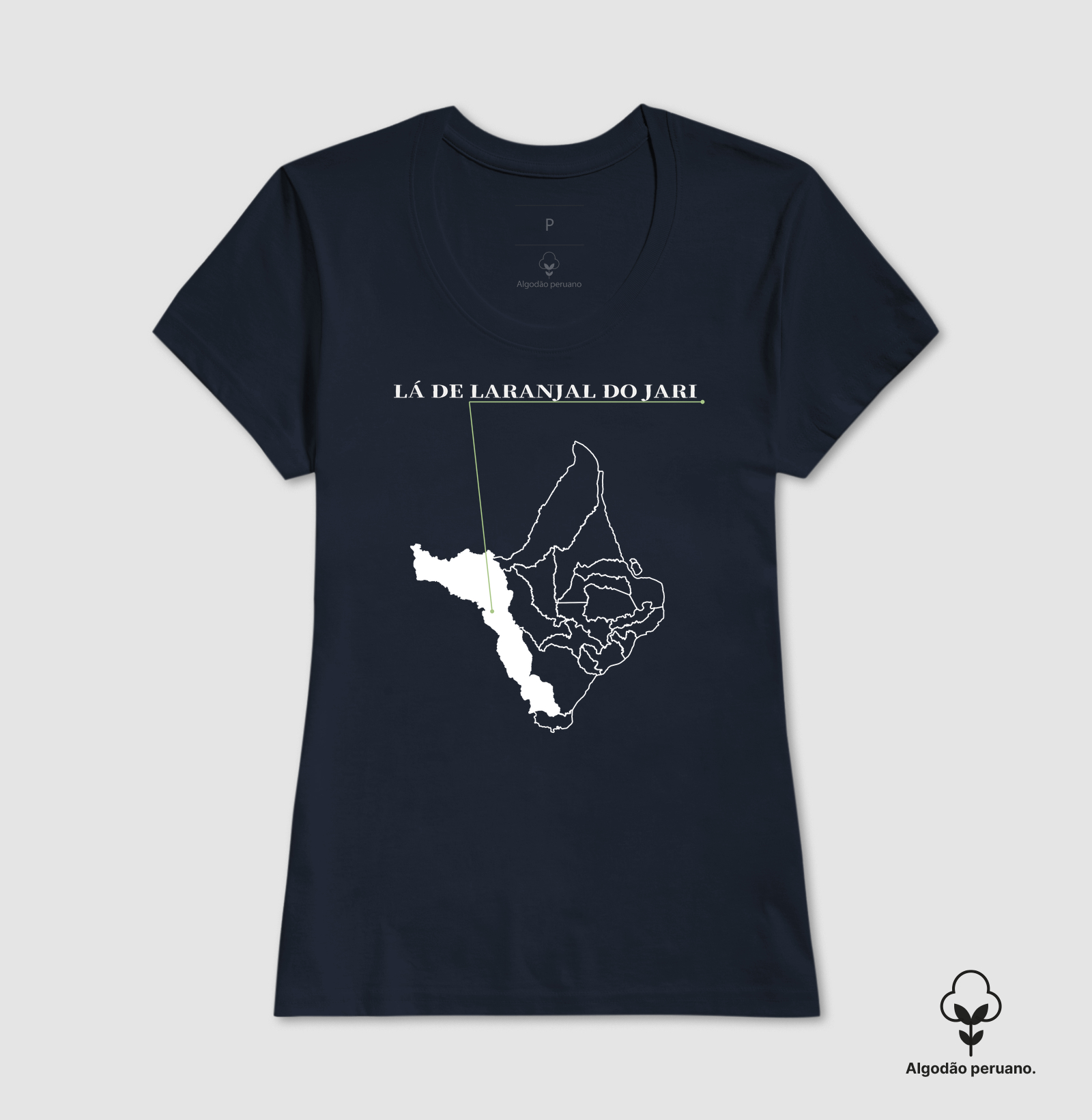 Laranjal do Jari | Origem AP - Imagem 4