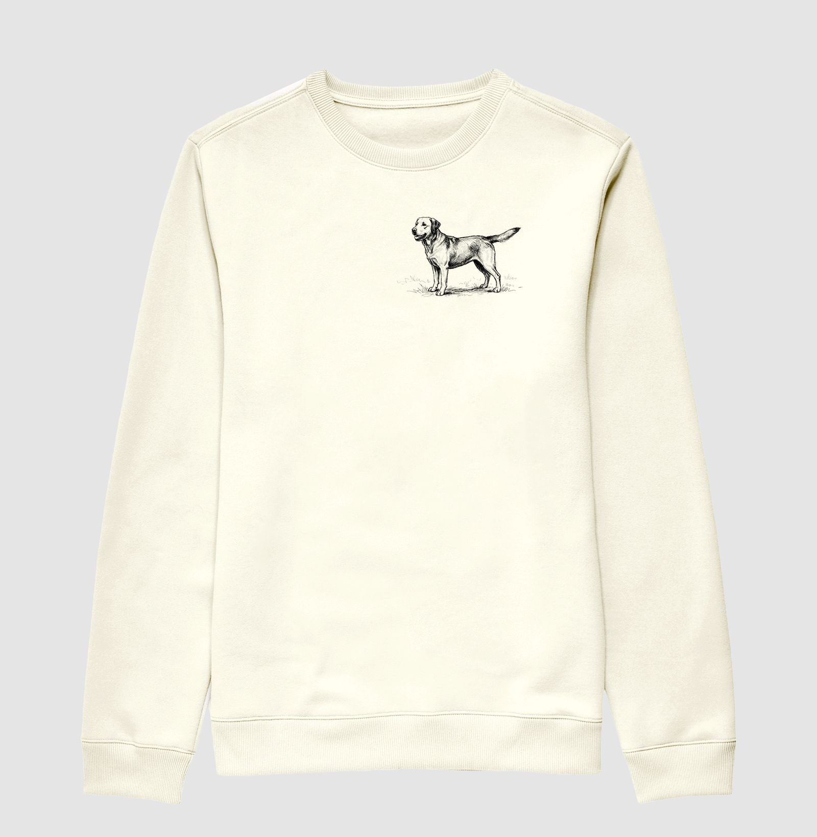 Labrador - Desenho - Imagem 2