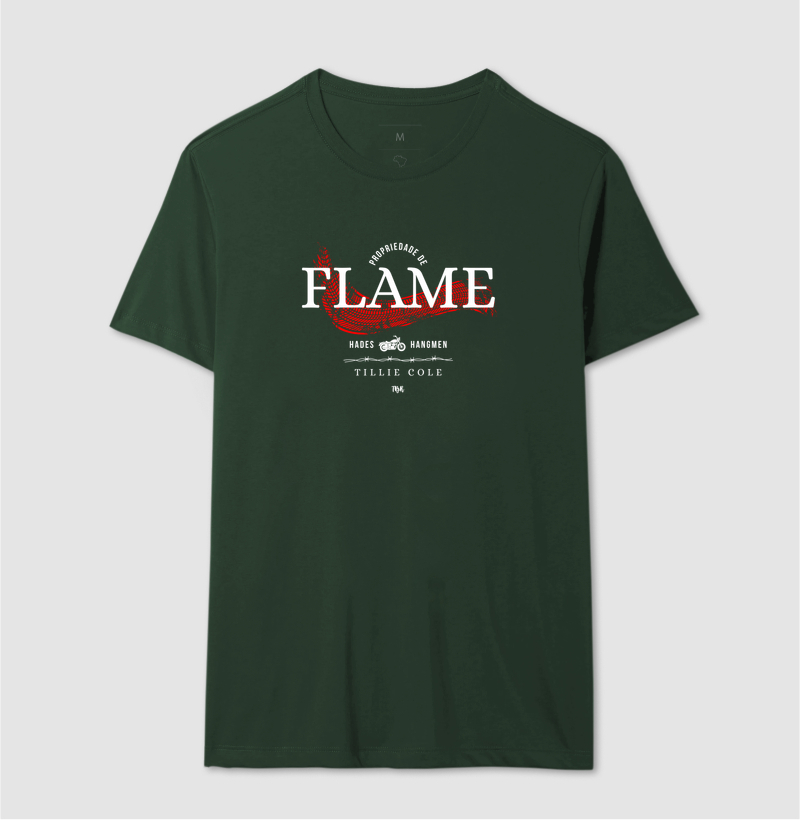 Propriedade de Flame - Imagem 10