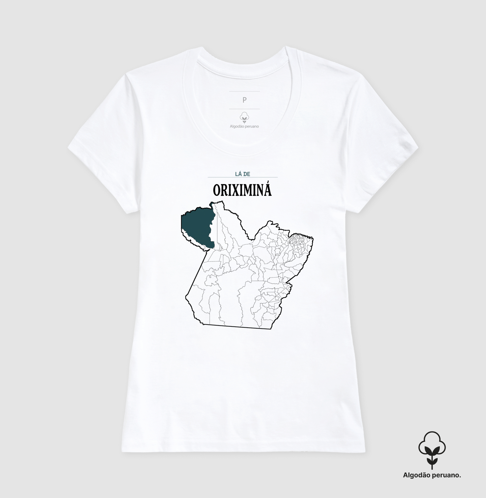Oriximiná | Território PA - Imagem 8