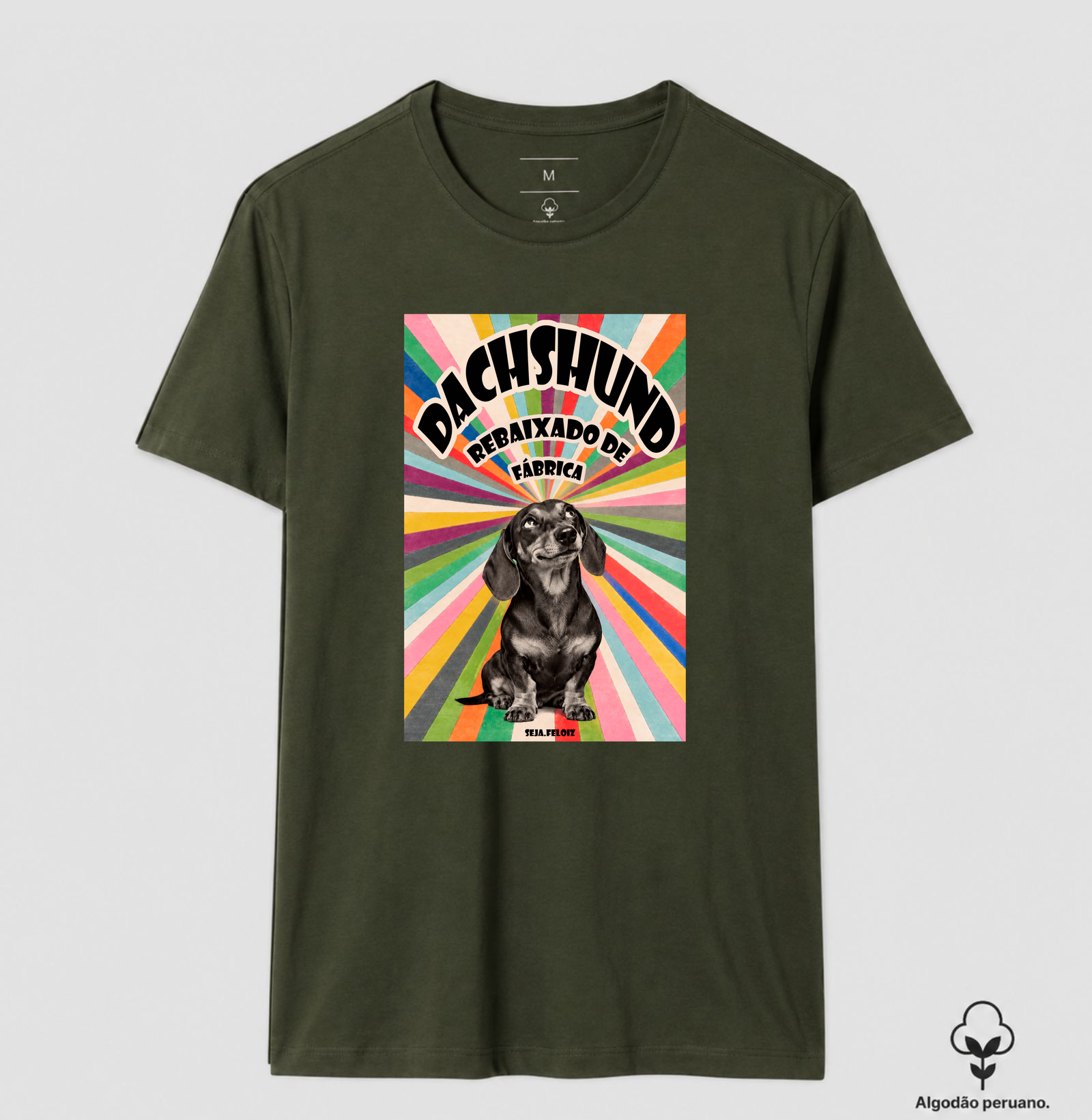 Dachshund Rebaixado de Fábrica  - Imagem 4