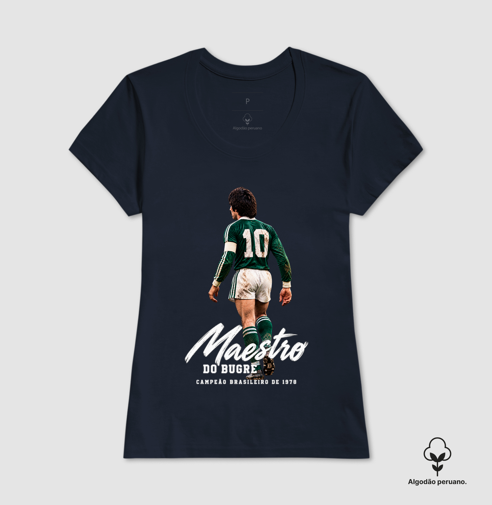 MAESTRO DO BUGRE - Imagem 6