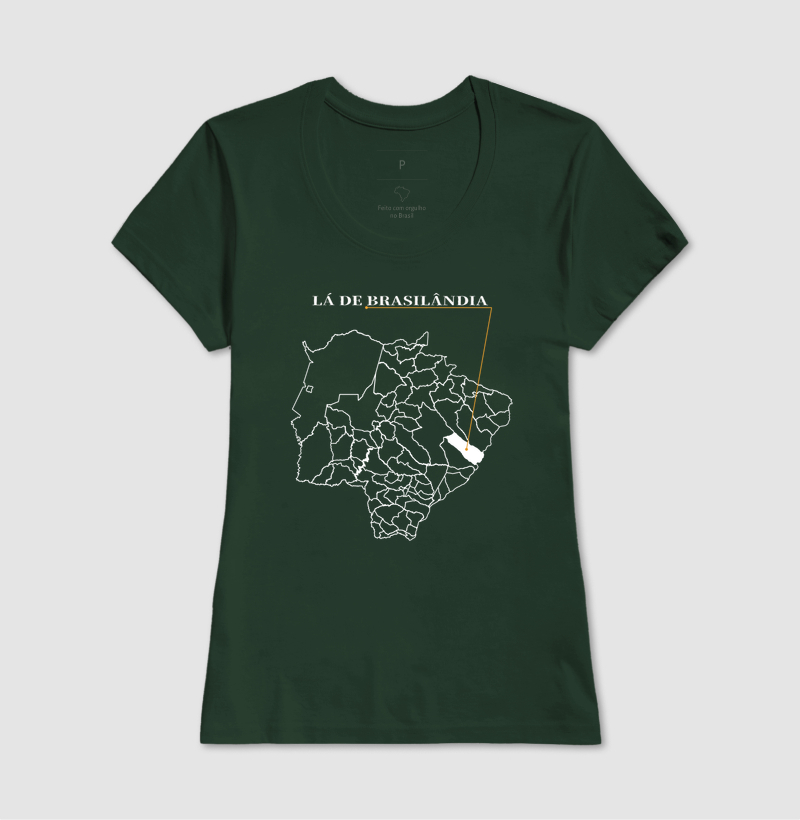 Brasilândia | Origem MS - Imagem 13