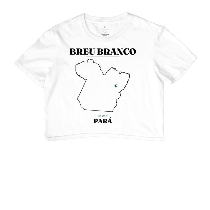 Breu Branco | Legado PA - Imagem 3