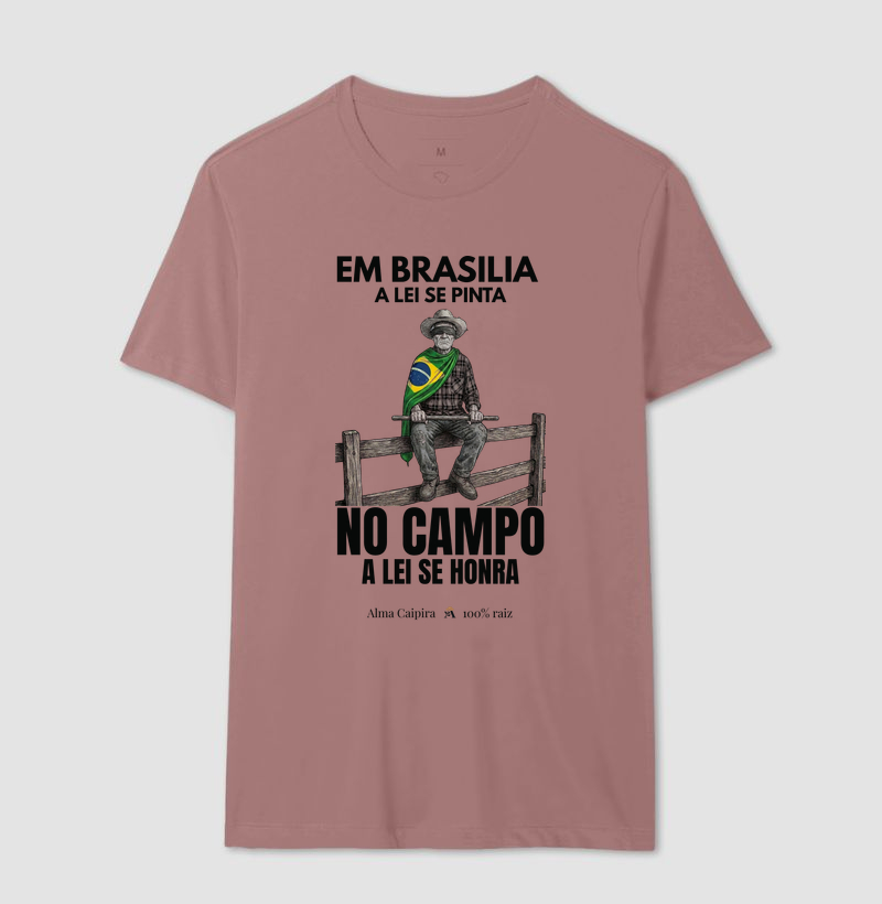 Em Brasília a lei se pinta, no Campo a lei se honra - Imagem 16