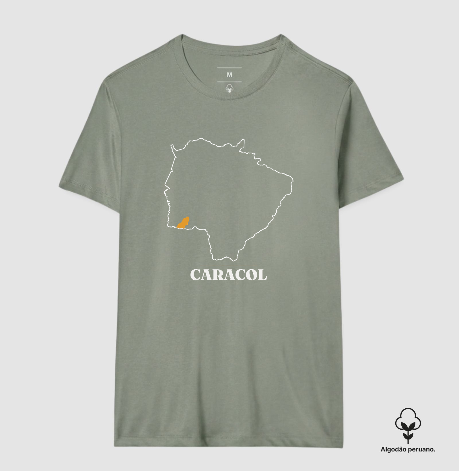 Caracol | Traço MS - Imagem 2