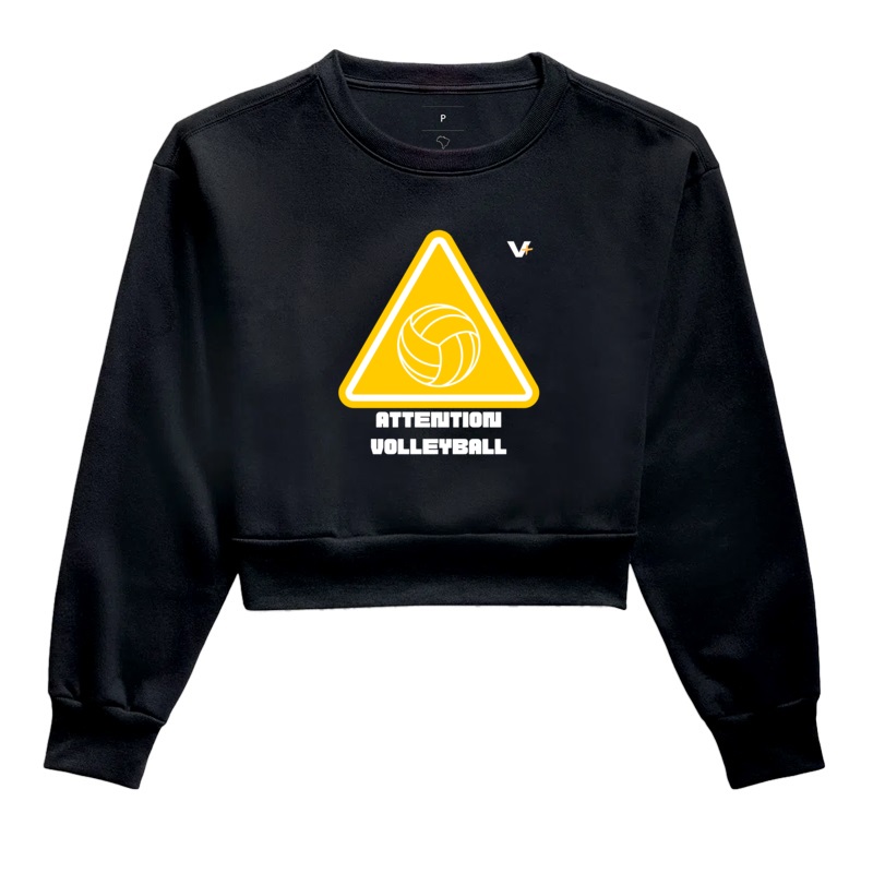 ATTENTION VOLLEYBALL