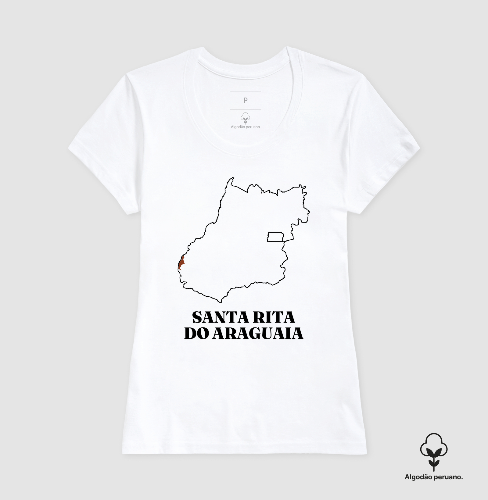 Santa Rita do Araguaia | Traço GO - Imagem 3