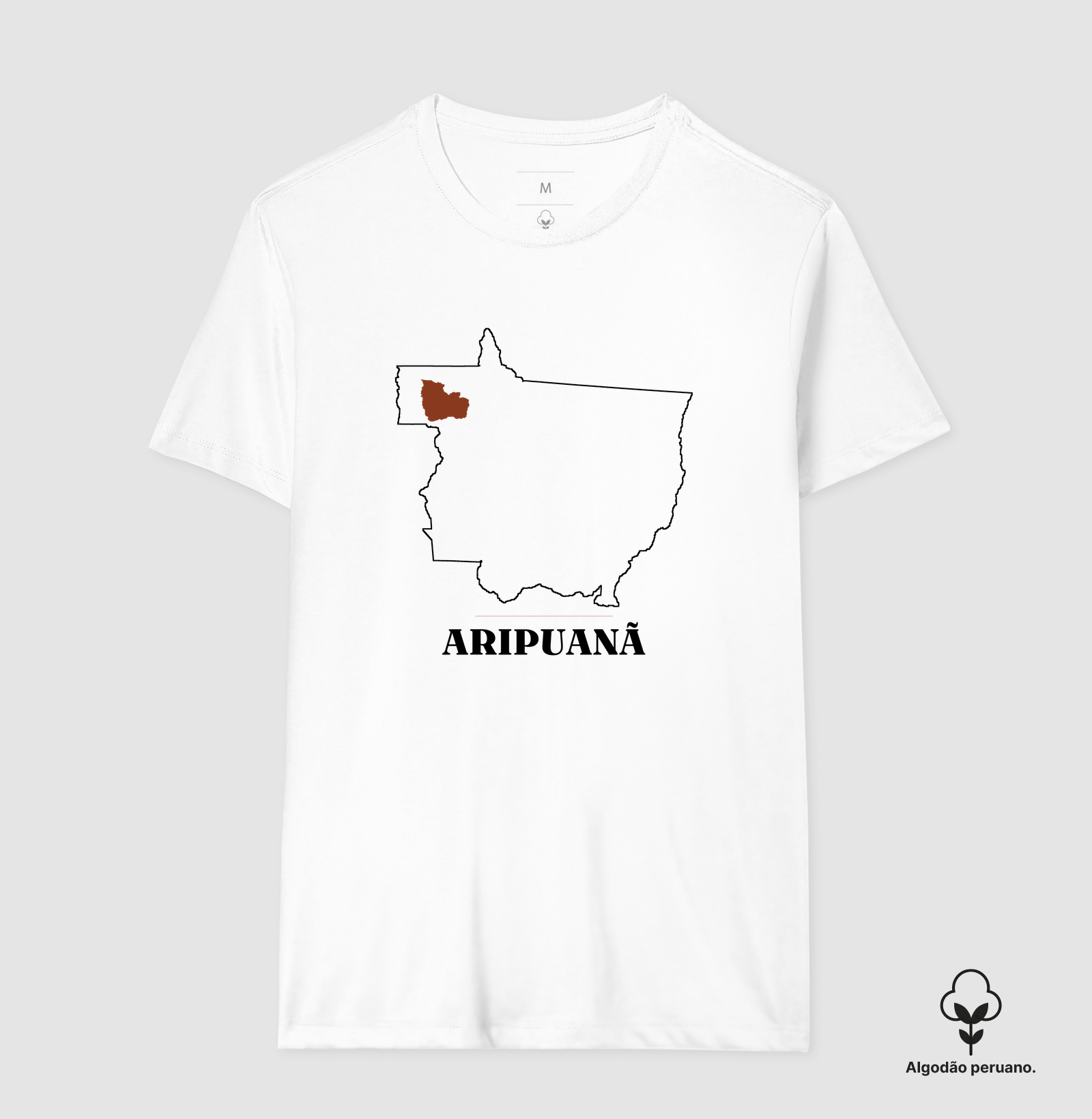 Aripuanã | Traço MT - Imagem 3