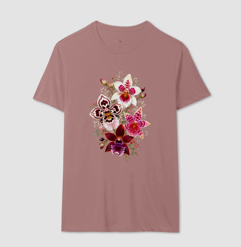 Quarteto de orquídeas - Imagem 10