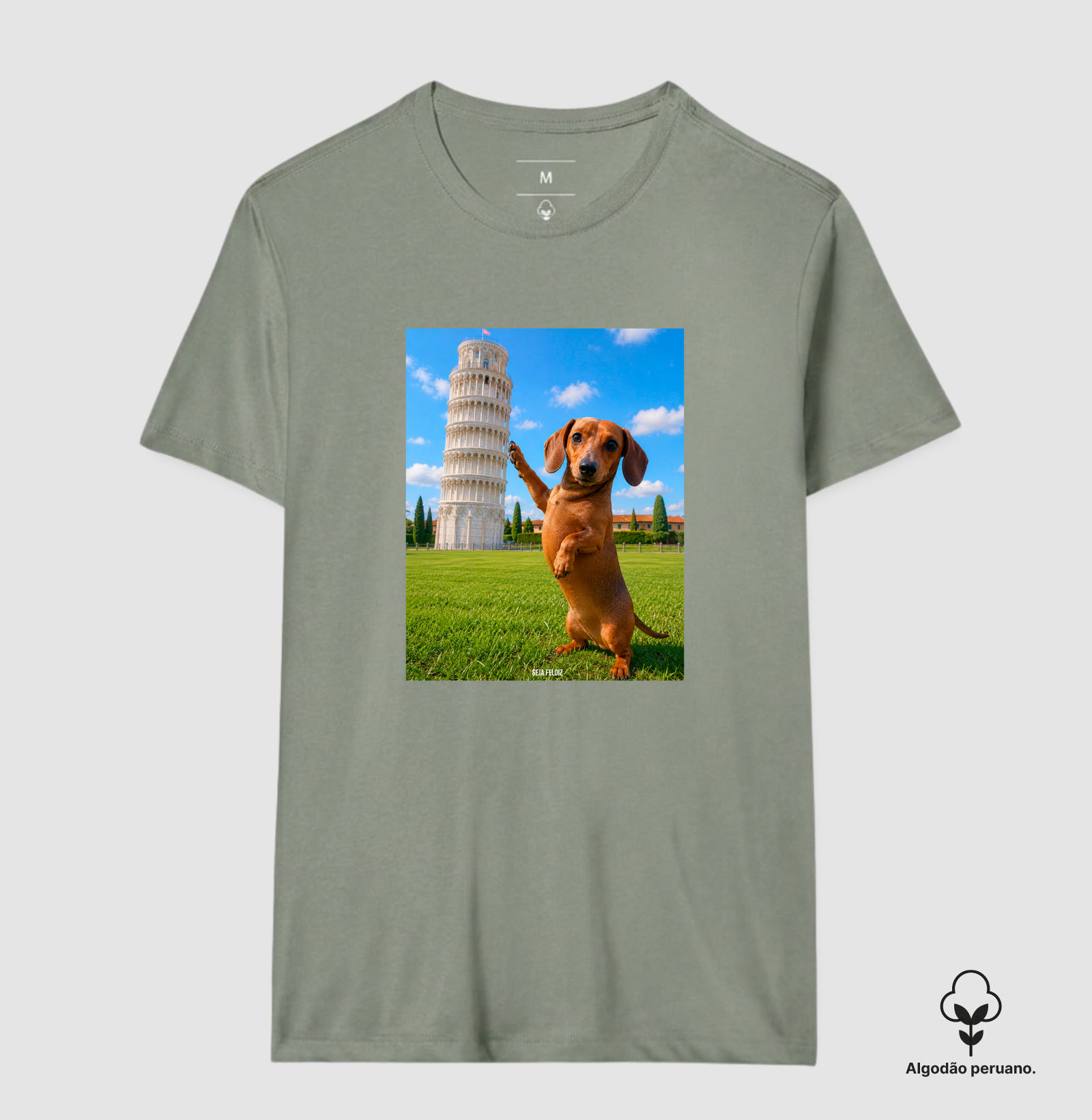 🐾 Salsichito em Pisa - Imagem 9