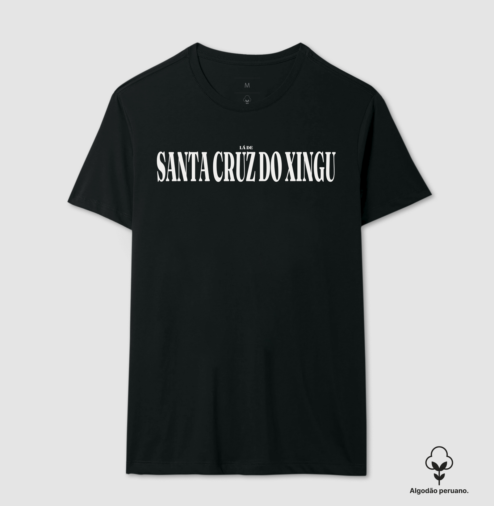 Santa Cruz do Xingu | Tipografia MT - Imagem 3