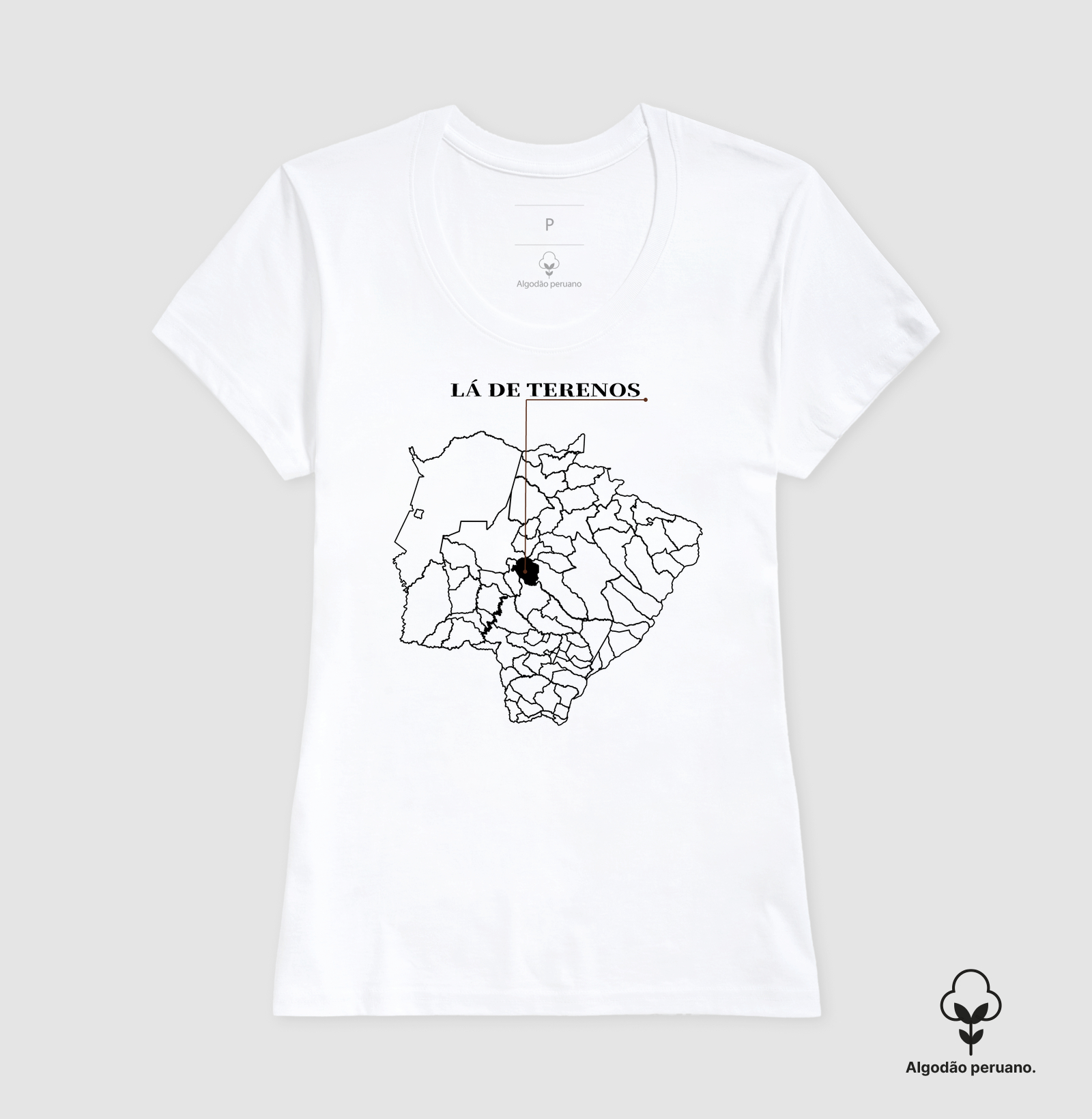 Terenos | Origem MS - Imagem 5