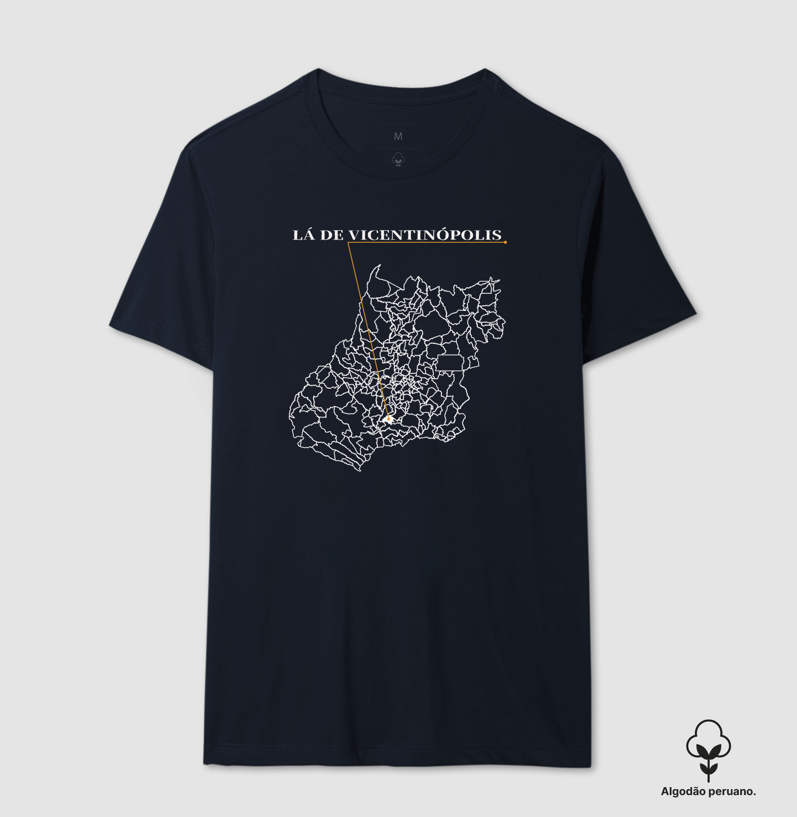 Vicentinópolis | Origem GO - Imagem 6