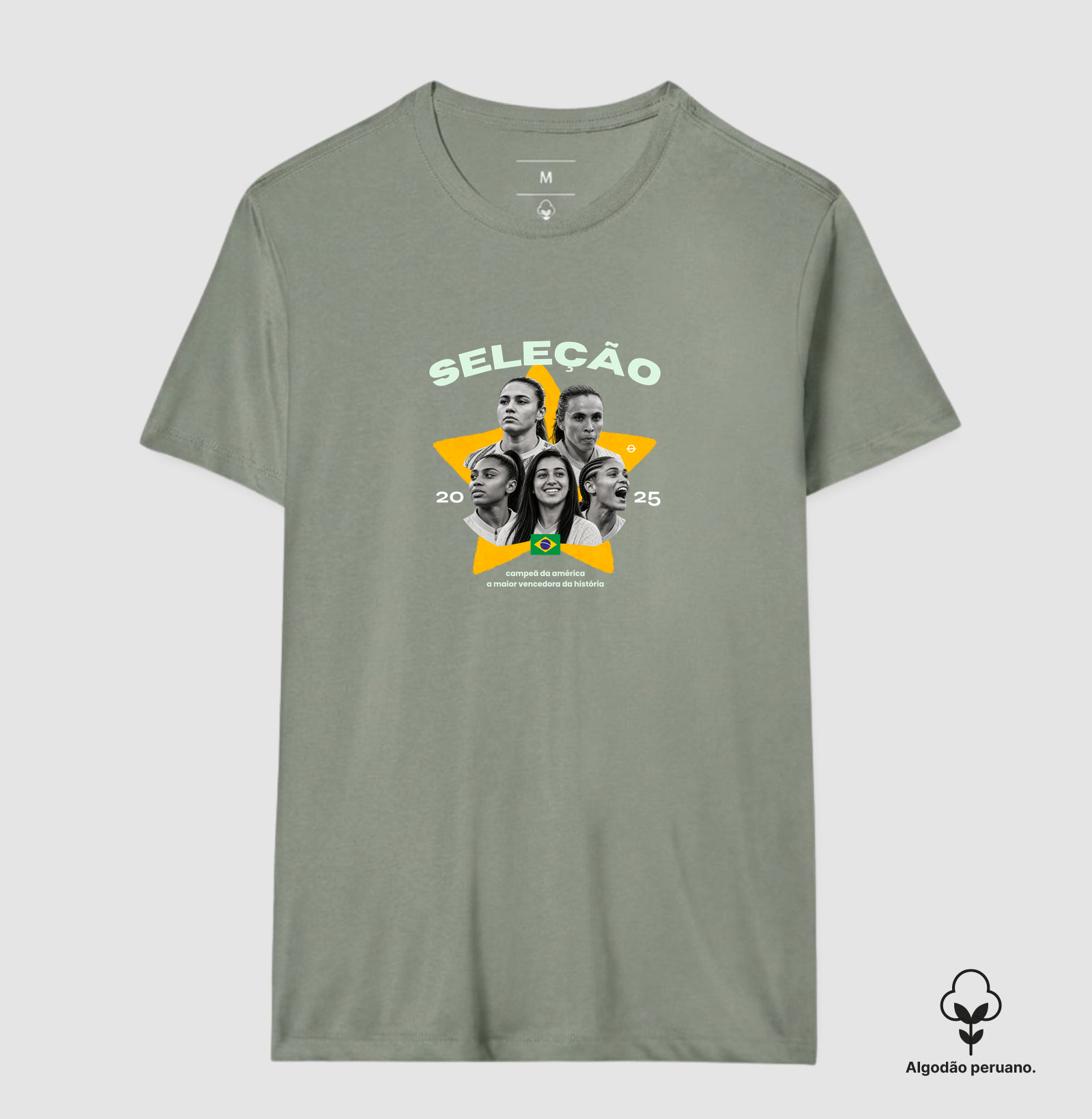 Seleção 2025 — Campeã da América - Imagem 8