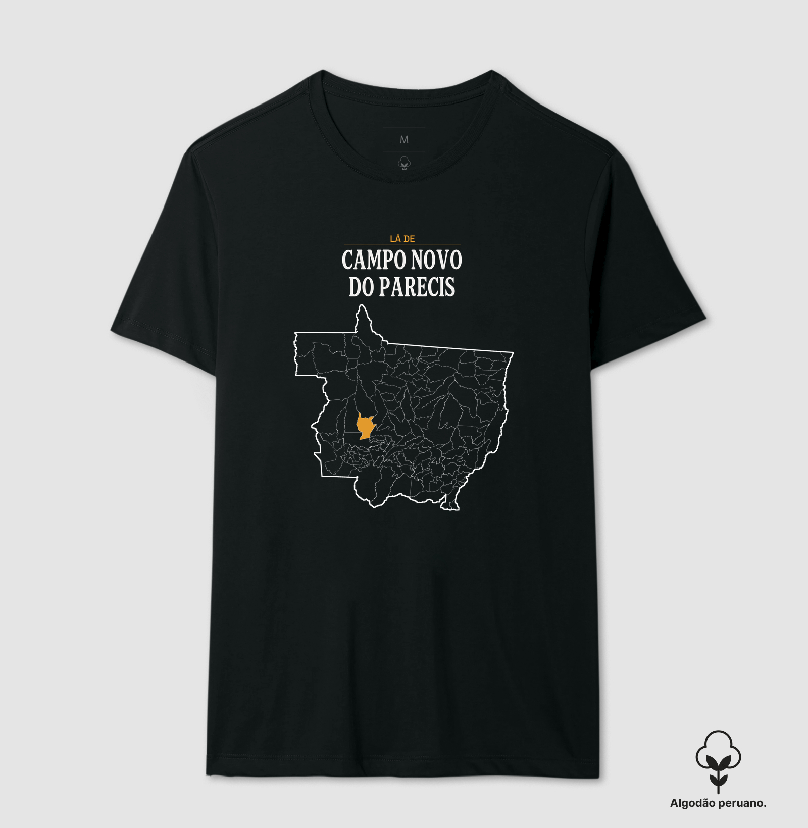 Campo Novo do Parecis | Território MT - Imagem 2
