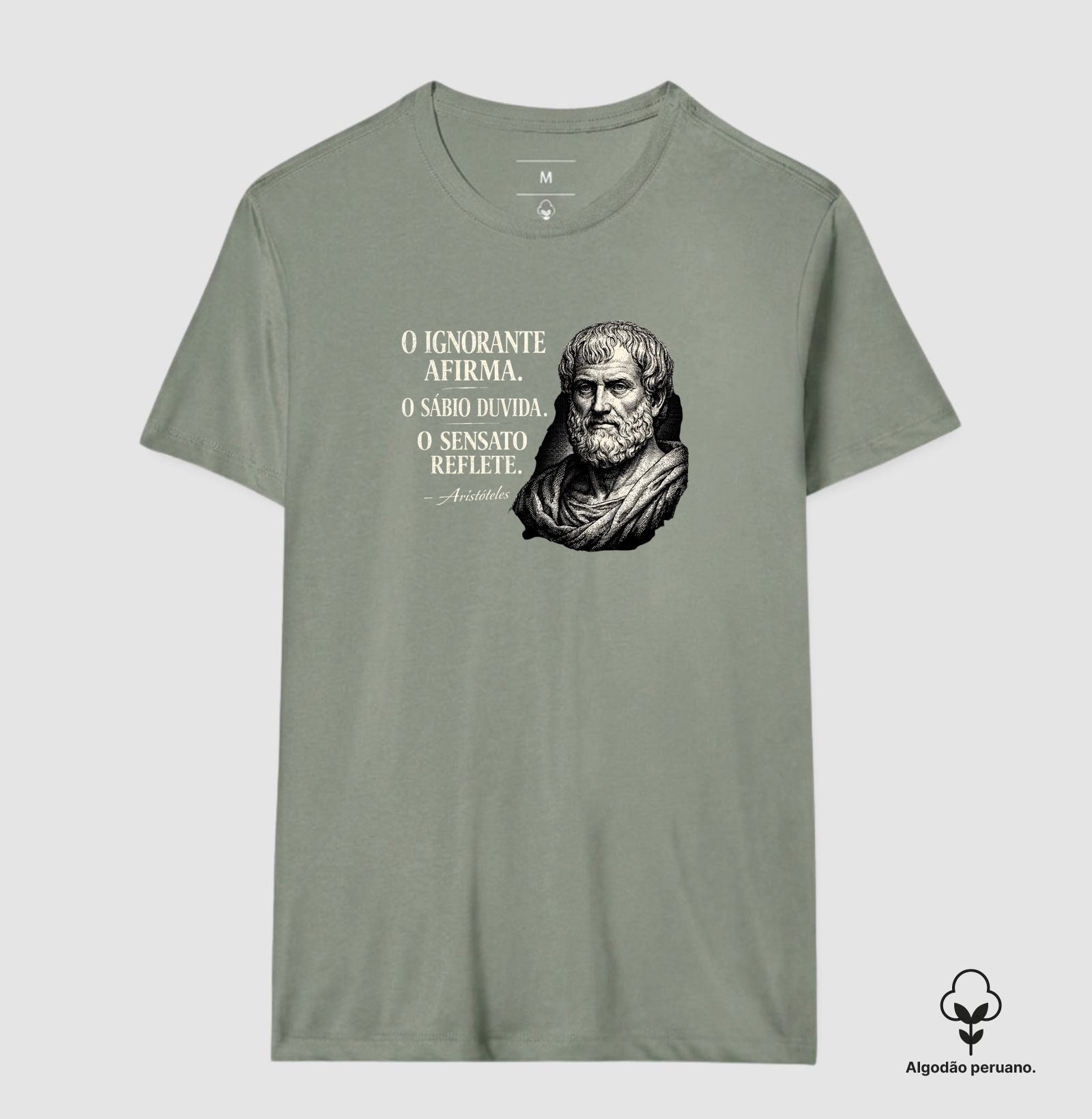 Filosofia de Aristóteles - Imagem 7