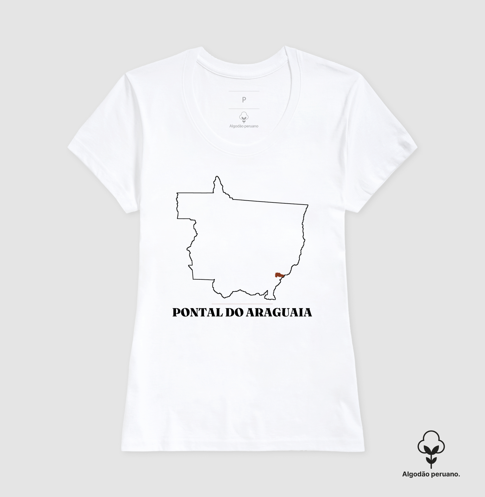 Pontal do Araguaia | Traço MT - Imagem 3