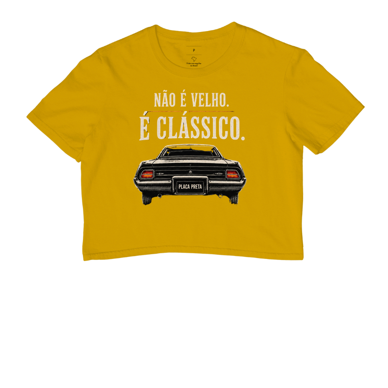 Não é velho, é clássico | Carro - Imagem 6