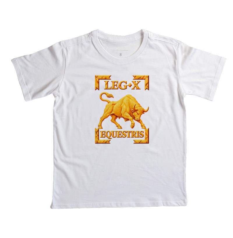 LEGIO — X Equestris - III - Imagem 5