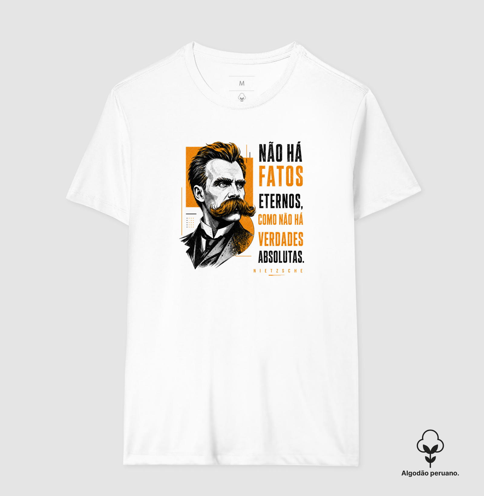 Filosofia de Nietzsche "Não há fatos eternos" - Imagem 9